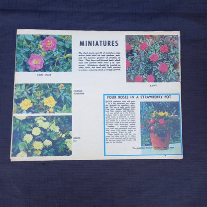 The Australian Women’s Weekly Presents A Book of Roses by Allan Searle (1971 Supplement)-Vintage Gardening Booklet / Homemaking Supplement-Tilbrook and Co