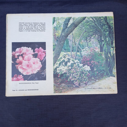 The Australian Women’s Weekly Presents A Guide to the Growing of Azaleas and Rhododendrons by Allan Searle (1969 Supplement)-Vintage Gardening Booklet / Homemaking Supplement-Tilbrook and Co