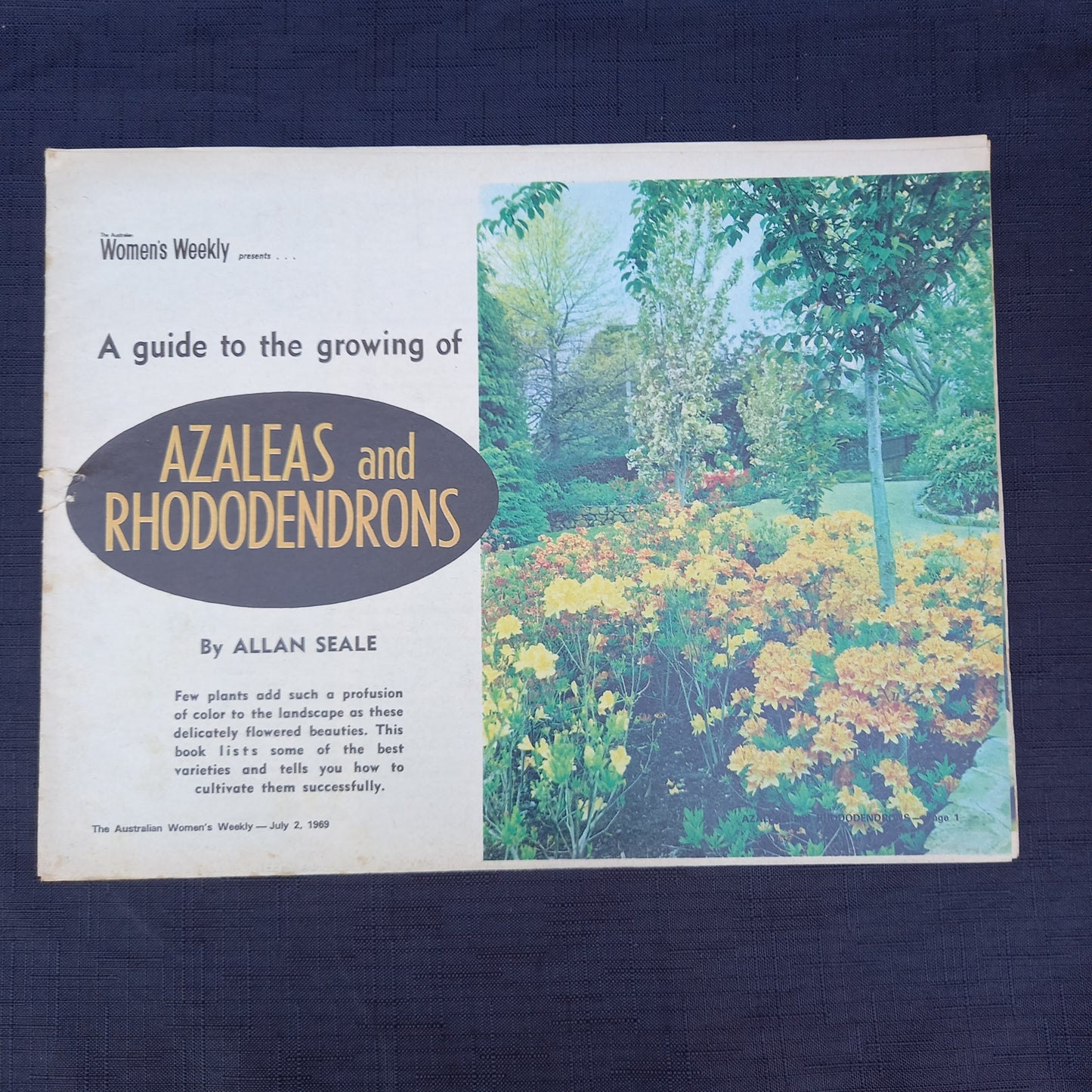 The Australian Women’s Weekly Presents A Guide to the Growing of Azaleas and Rhododendrons by Allan Searle (1969 Supplement)-Vintage Gardening Booklet / Homemaking Supplement-Tilbrook and Co