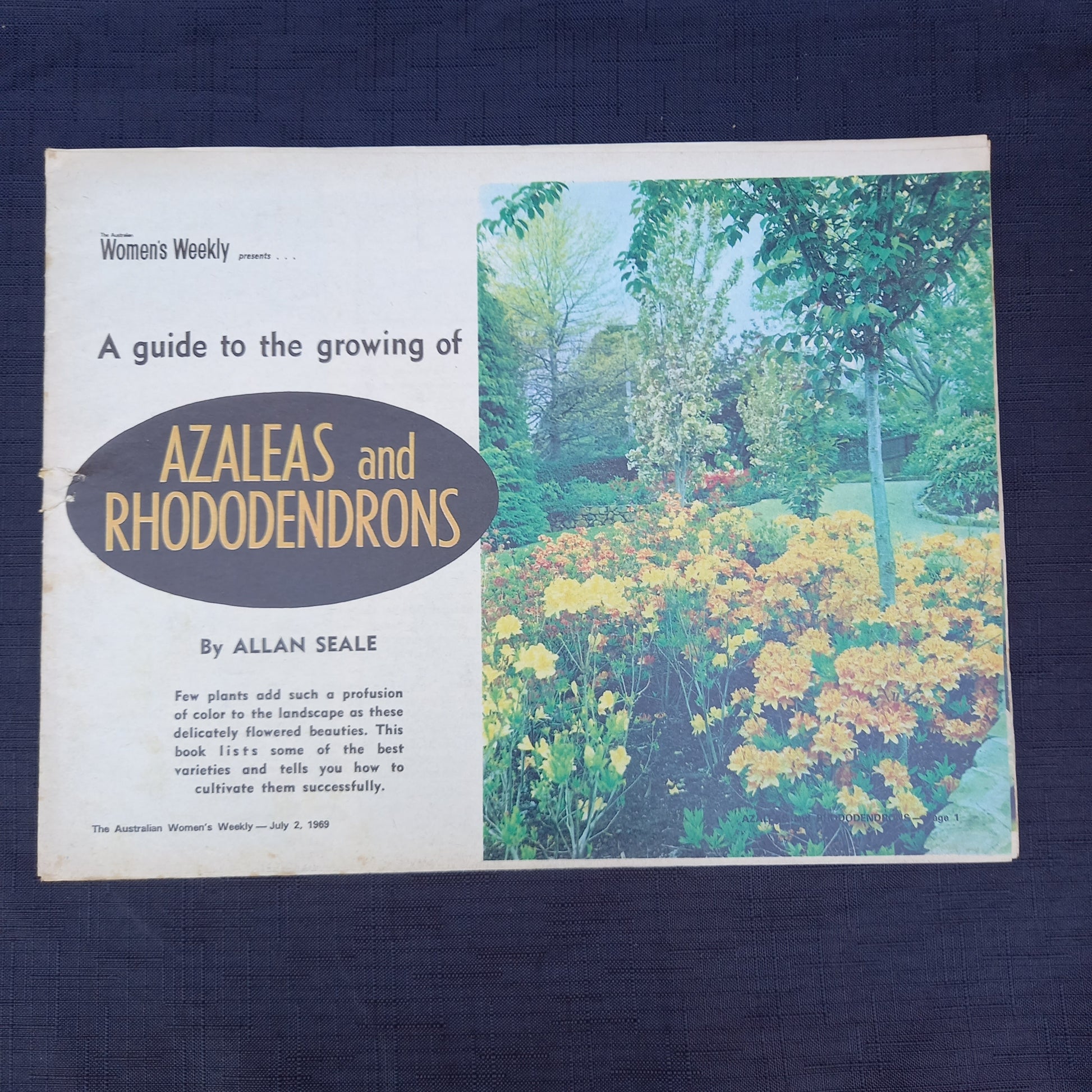 The Australian Women’s Weekly Presents A Guide to the Growing of Azaleas and Rhododendrons by Allan Searle (1969 Supplement)-Vintage Gardening Booklet / Homemaking Supplement-Tilbrook and Co