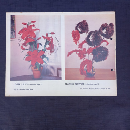 The Australian Women’s Weekly Presents Crepe Paper Flowers to Make for Your Home (1969 Supplement)-Vintage Craft Booklet / Homemaking Supplement-Tilbrook and Co