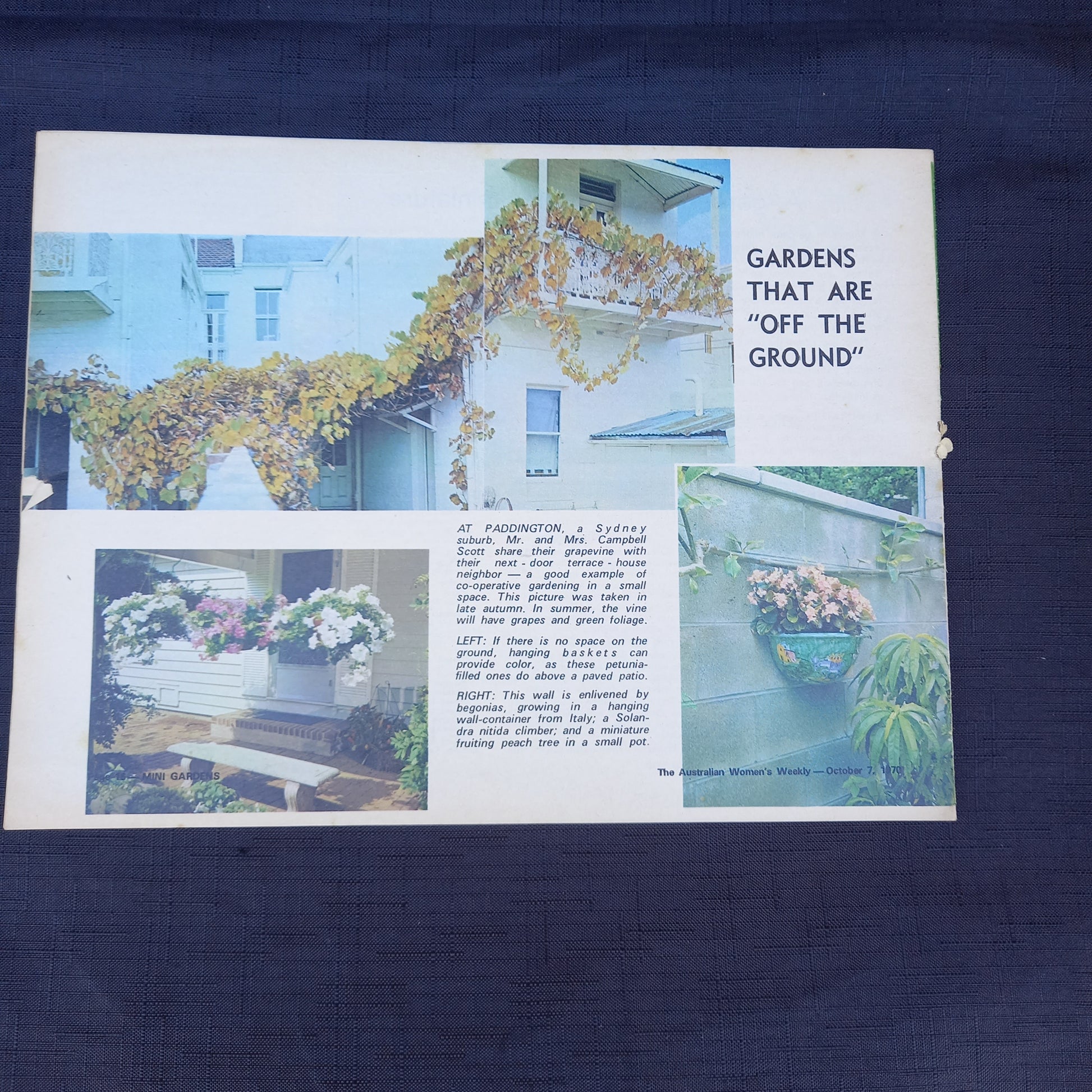 The Australian Women’s Weekly Presents Mini Gardens (1970 Supplement)-Vintage Gardening Booklet / Homemaking Supplement-Tilbrook and Co