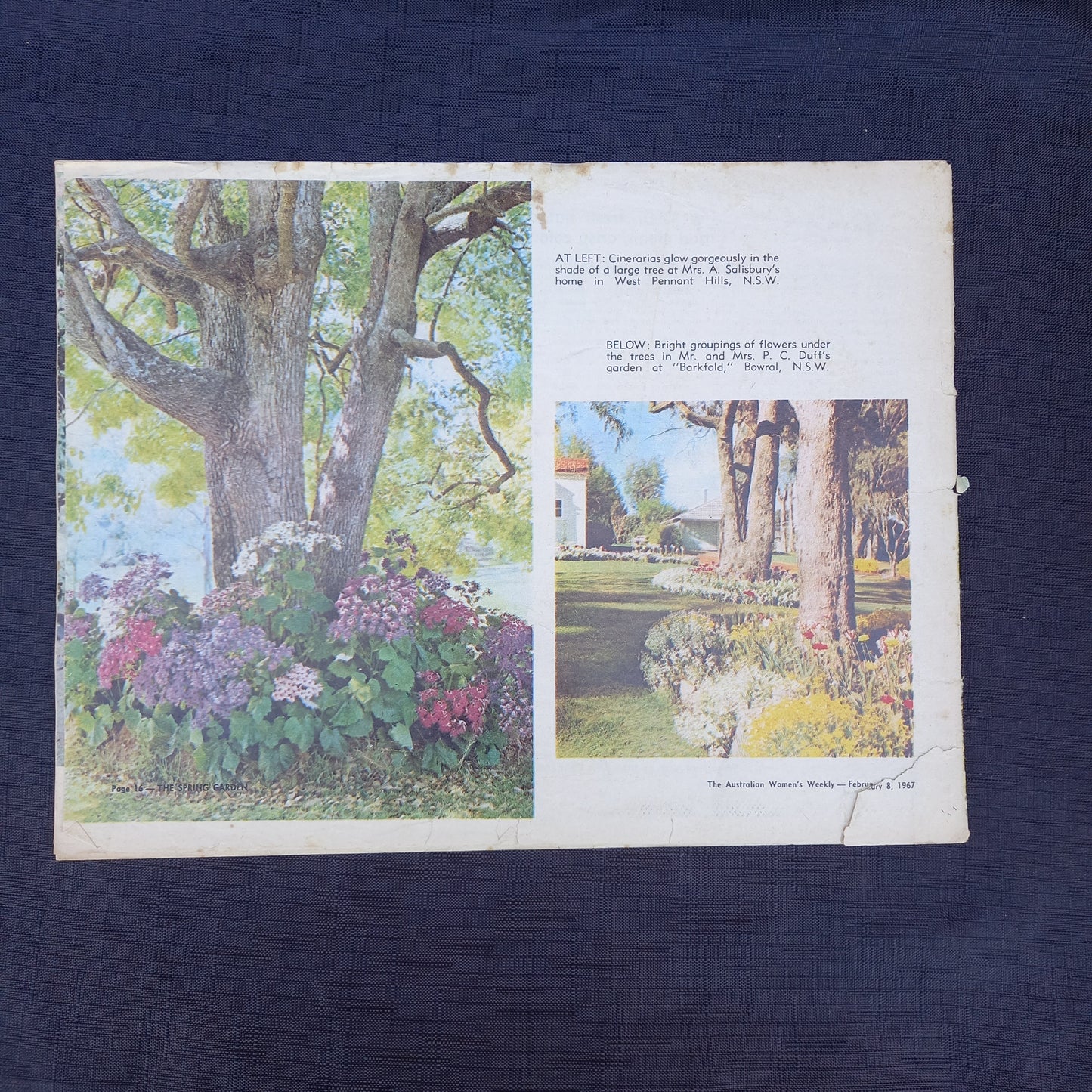 The Australian Women’s Weekly Presents Plan Now for the Spring Garden by Allan Seale (1967 Supplement)-Vintage Gardening Booklet / Homemaking Supplement-Tilbrook and Co