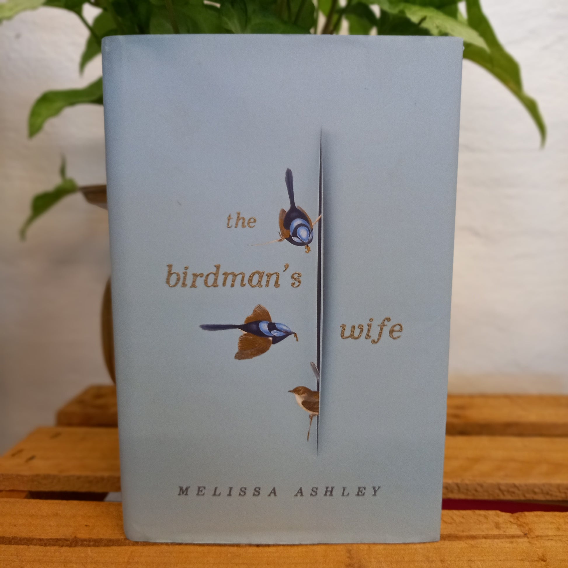 The Birdman's Wife by Melisa Ashley-Book-Tilbrook and Co