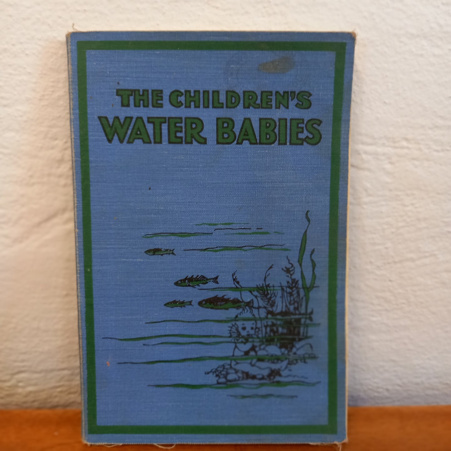 The Children's Water Babies F H Lee ills Honor C Appleton-Book-Tilbrook and Co