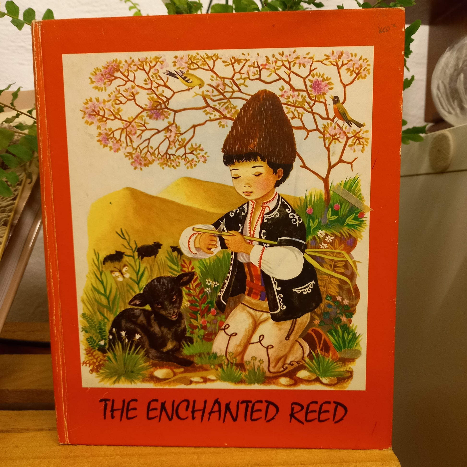 The Enchanted Reed [Jean Tells a Story, Mini Stories Series] by Jean Hardy-Book-Tilbrook and Co