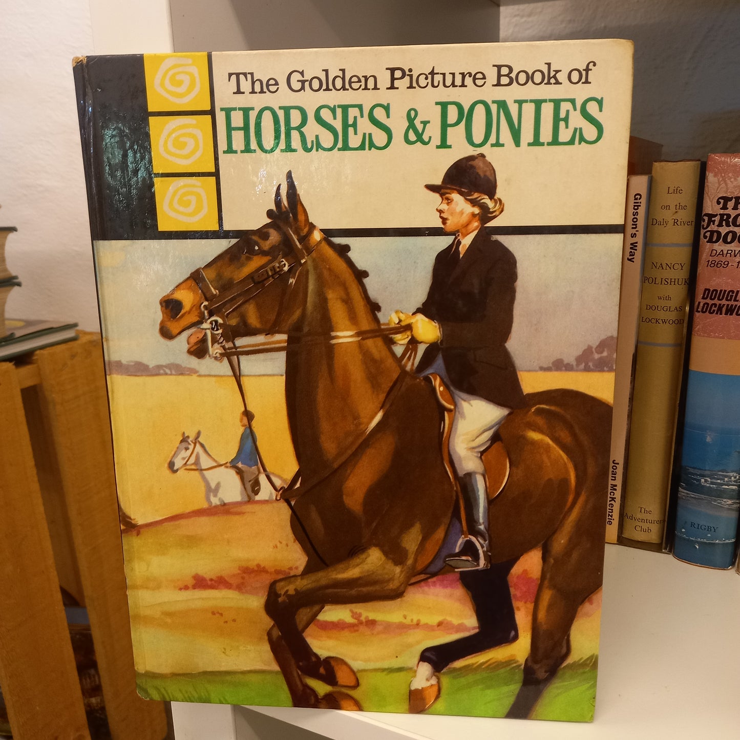 The Golden Picture Book of Horses & Ponies by Joan Bunn-Richards-Books-Tilbrook and Co