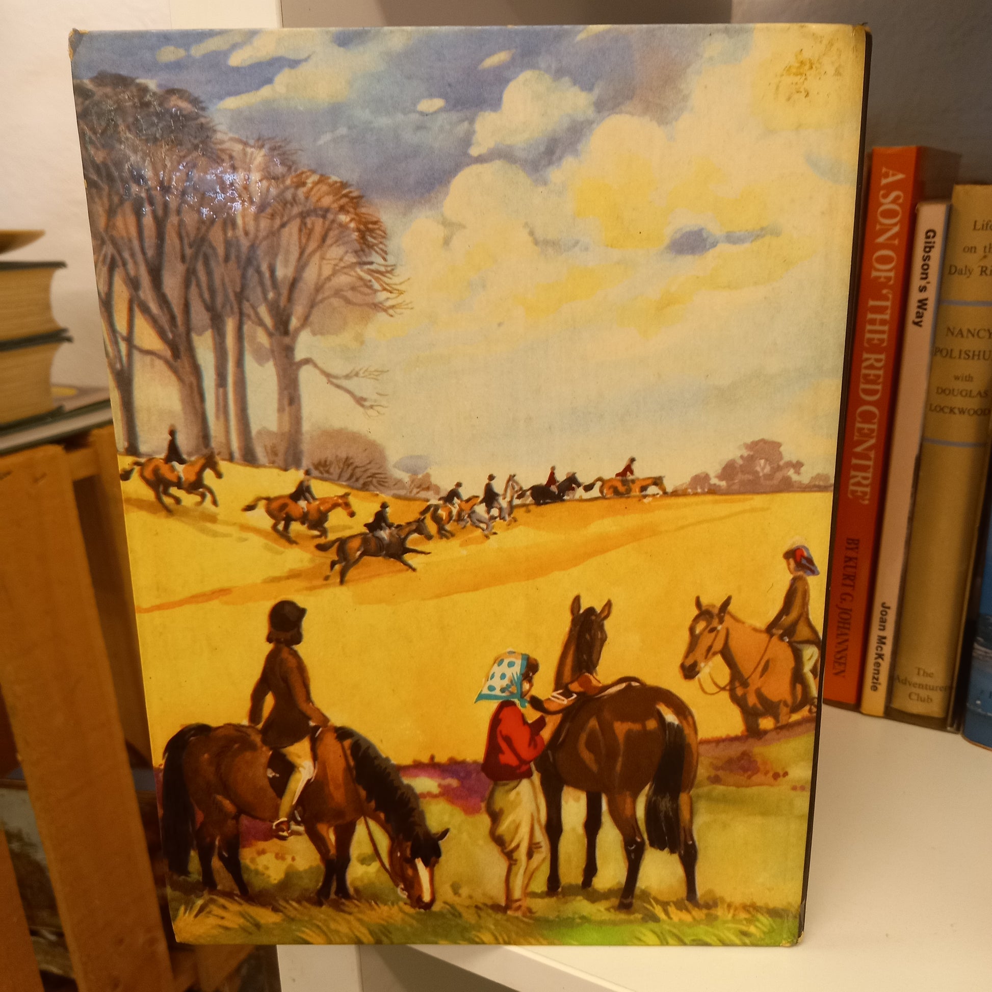 The Golden Picture Book of Horses & Ponies by Joan Bunn-Richards-Books-Tilbrook and Co