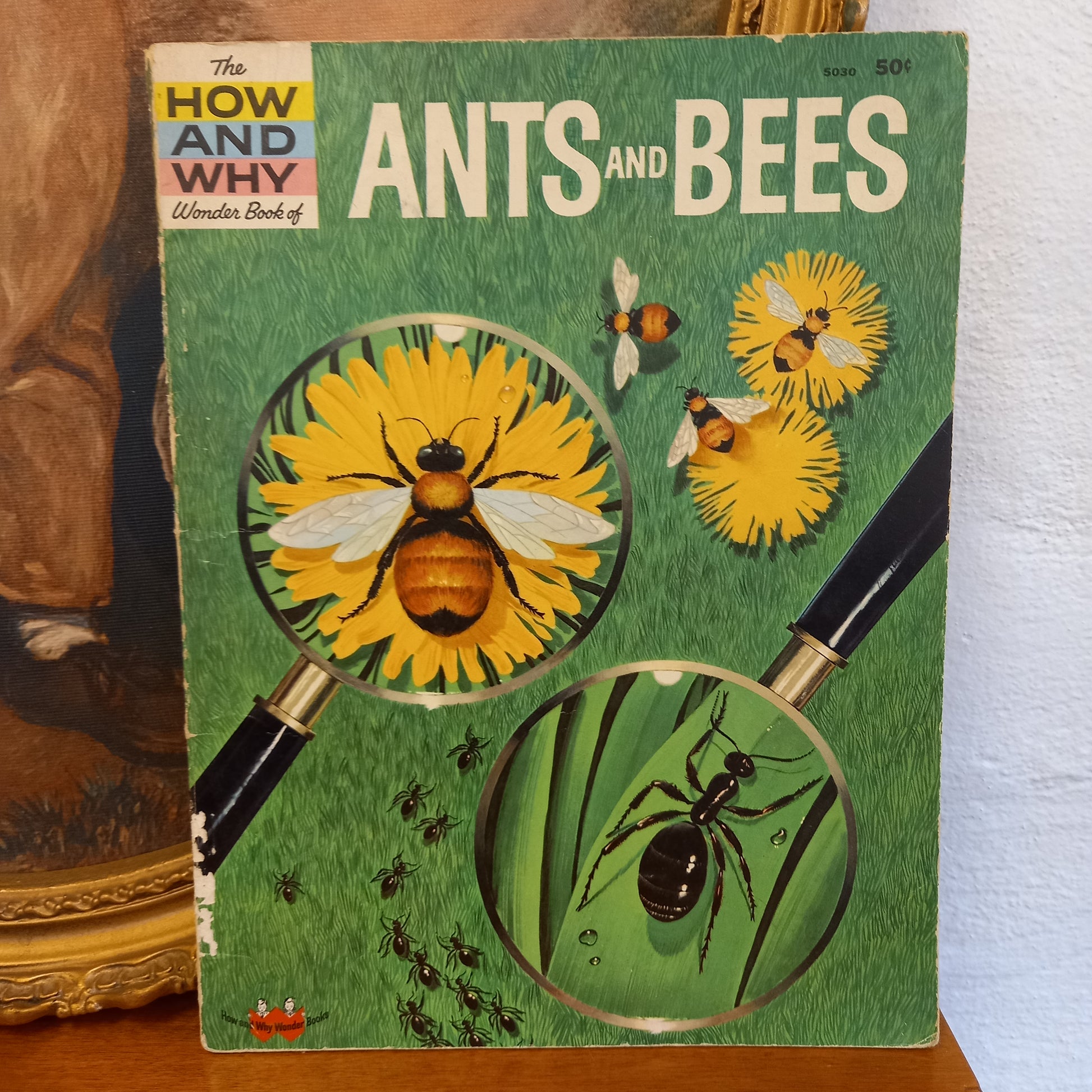 The How and Why Wonder Book of Ants and Bees (#5030)-Book-Tilbrook and Co