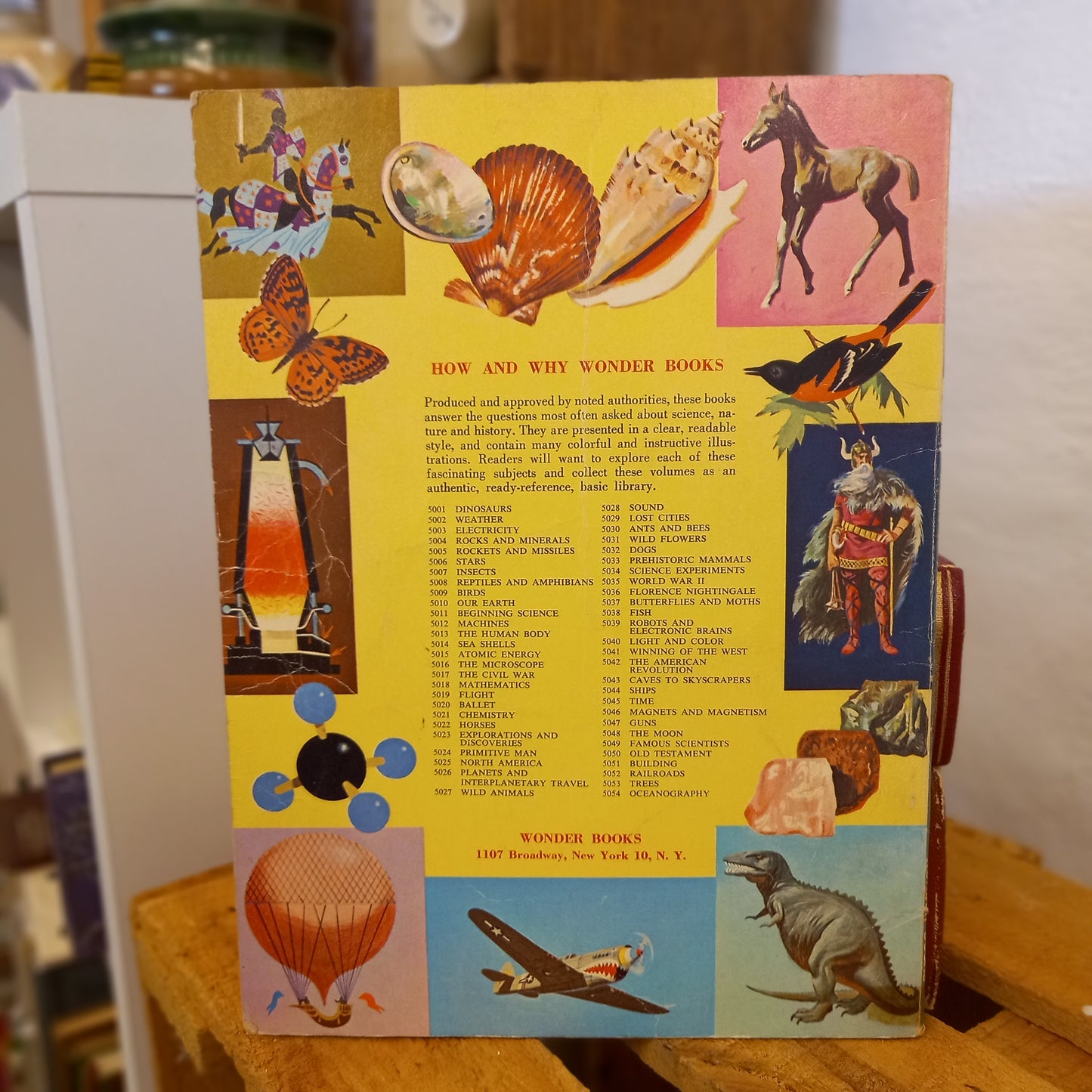 The How and Why Wonder Book of Dogs (Series No. 5032)-Book - Children's educational / Animal studies / Vintage series-Tilbrook and Co