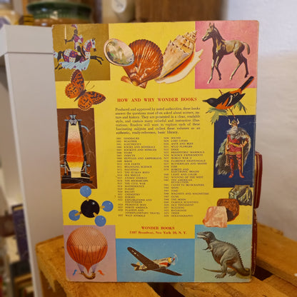 The How and Why Wonder Book of Dogs (Series No. 5032)-Book - Children's educational / Animal studies / Vintage series-Tilbrook and Co