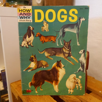The How and Why Wonder Book of Dogs (Series No. 5032)-Book - Children's educational / Animal studies / Vintage series-Tilbrook and Co