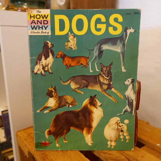 The How and Why Wonder Book of Dogs (Series No. 5032)-Book - Children's educational / Animal studies / Vintage series-Tilbrook and Co