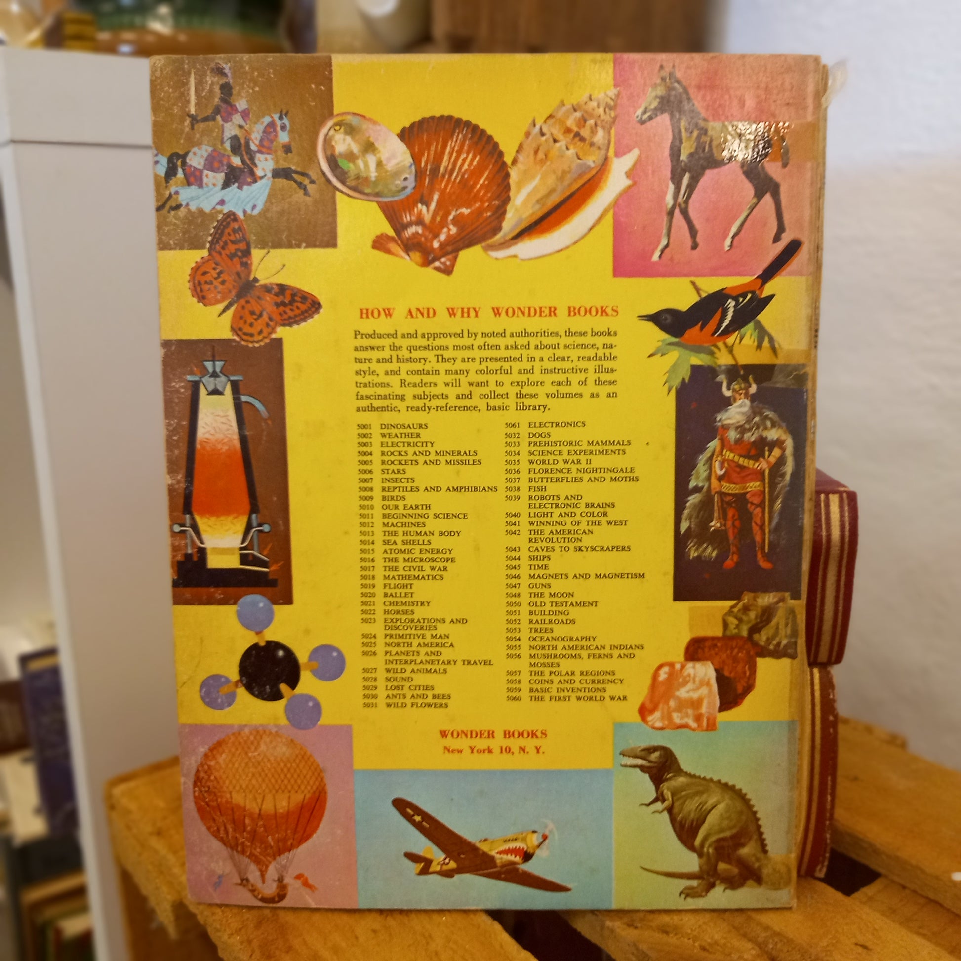 The How and Why Wonder Book of Insects (Series No. 5007)-Book - Children’s educational / Entomology / Vintage science series-Tilbrook and Co