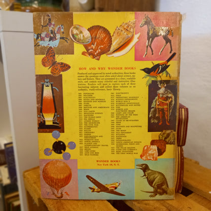 The How and Why Wonder Book of Insects (Series No. 5007)-Book - Children’s educational / Entomology / Vintage science series-Tilbrook and Co
