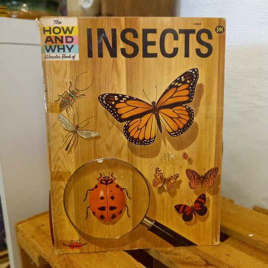 The How and Why Wonder Book of Insects (Series No. 5007)-Book - Children’s educational / Entomology / Vintage science series-Tilbrook and Co