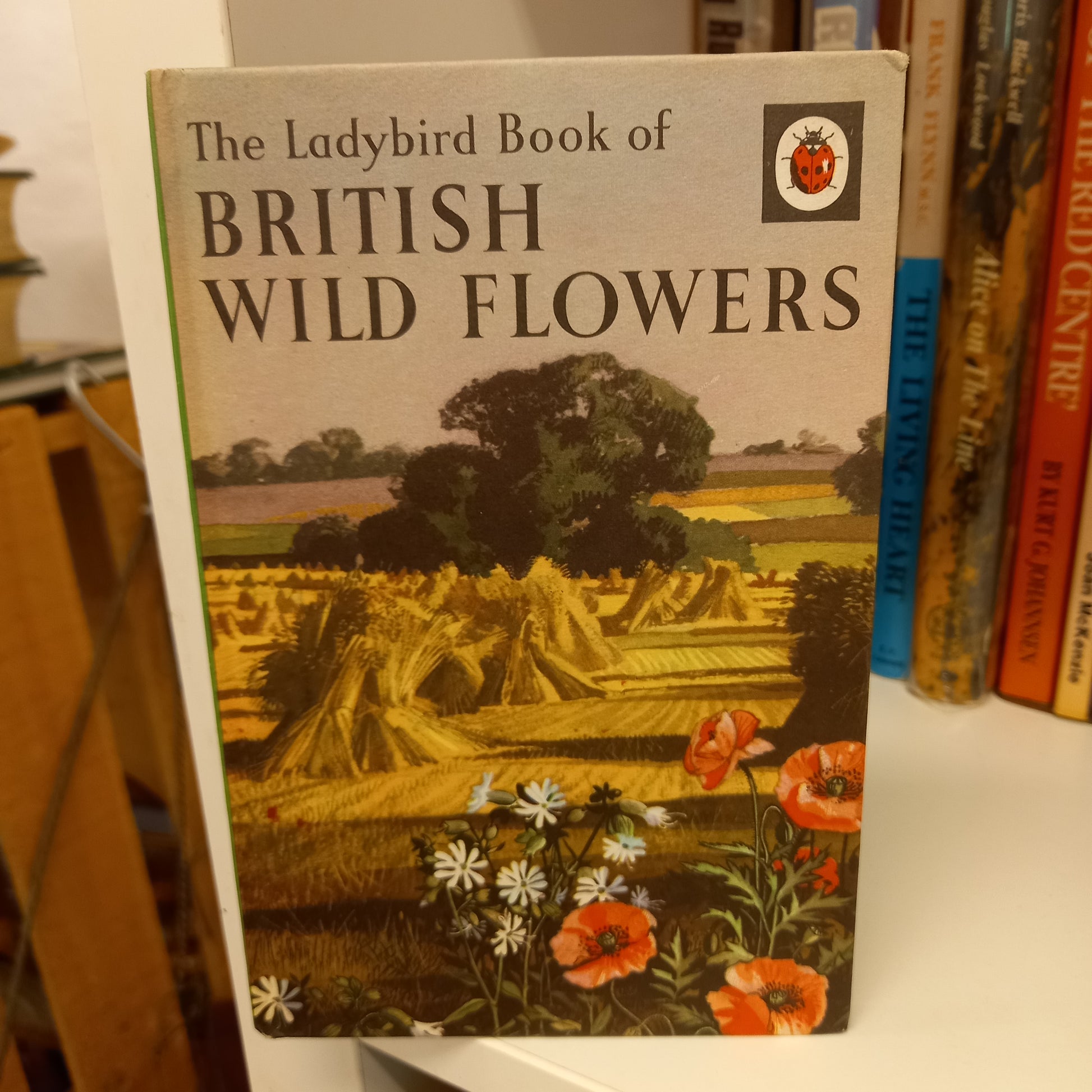 The Ladybird Book of British Wild Flowers by Biran Vese Fitzgerald-Books-Tilbrook and Co