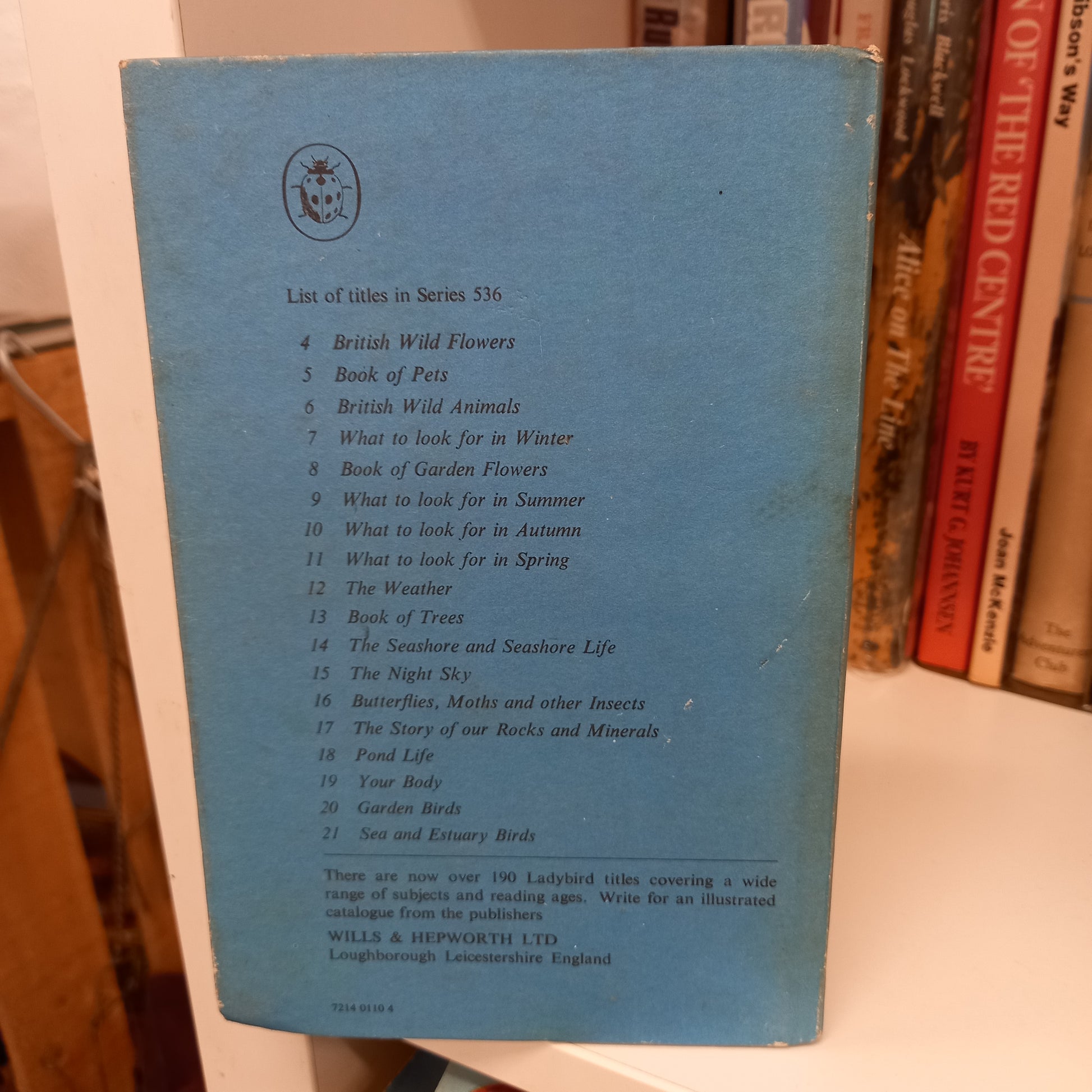 The Ladybird Book of Sea and Estuary Birds by John Leigh Pemberton (Series 536)-Books-Tilbrook and Co