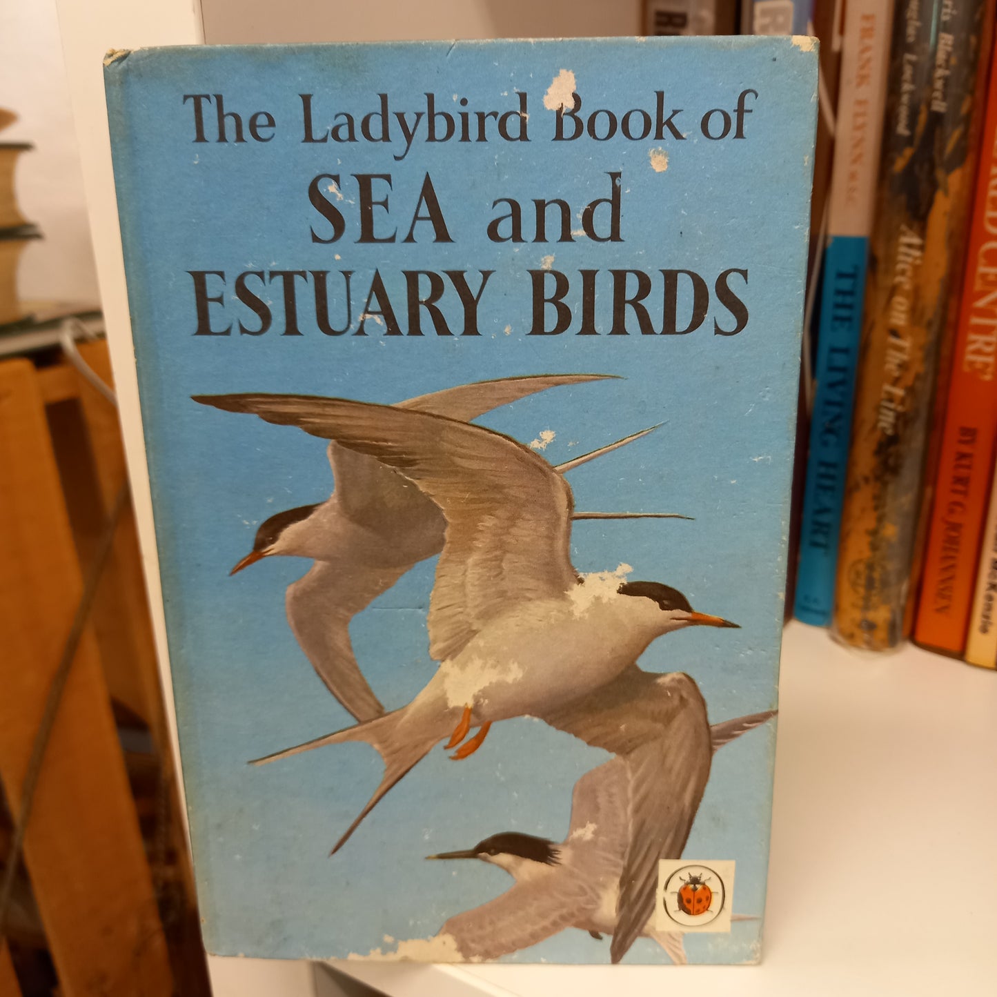 The Ladybird Book of Sea and Estuary Birds by John Leigh Pemberton (Series 536)-Books-Tilbrook and Co