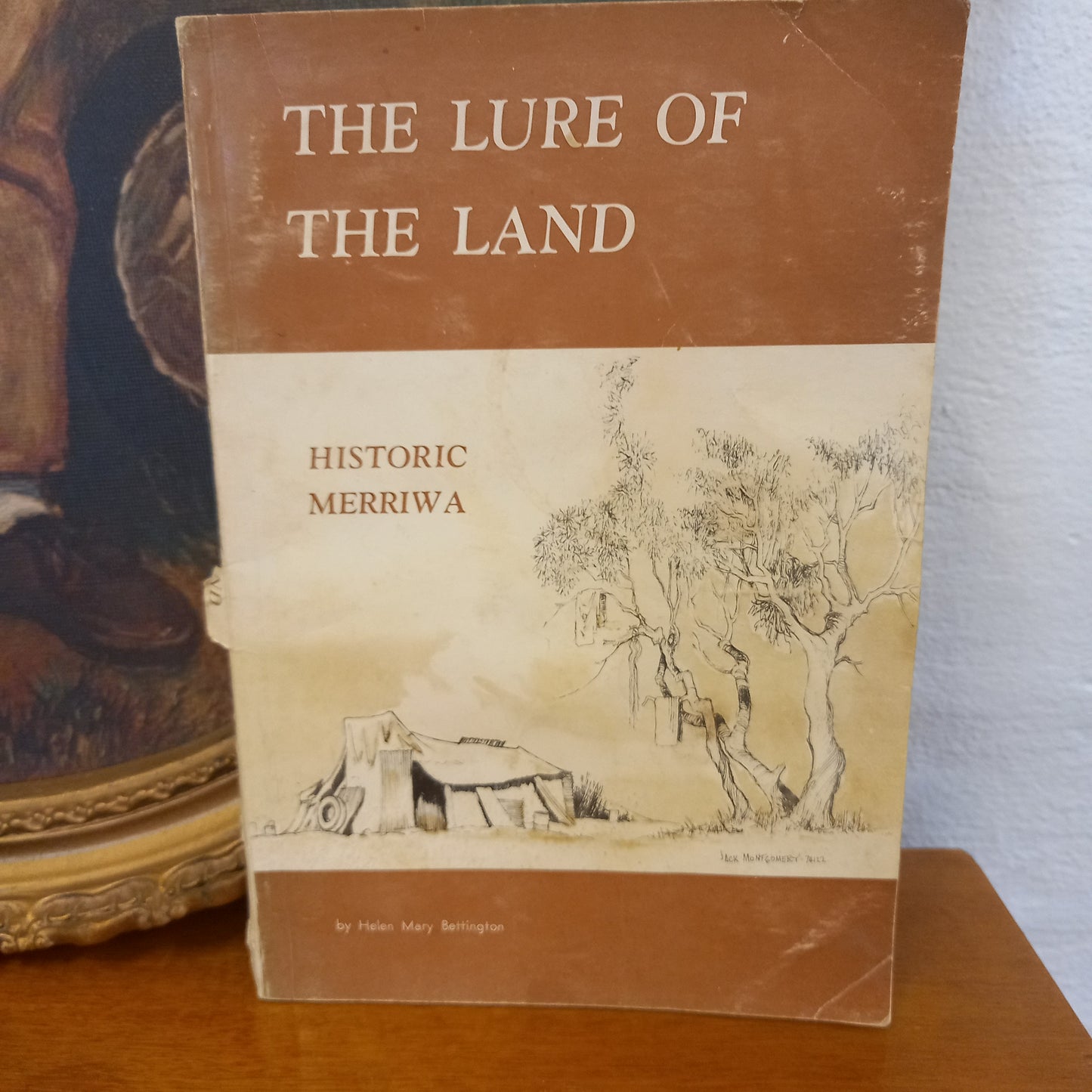 The Lure Of The Land: Historic Merriwa by Helen Mary Bettington-Book-Tilbrook and Co