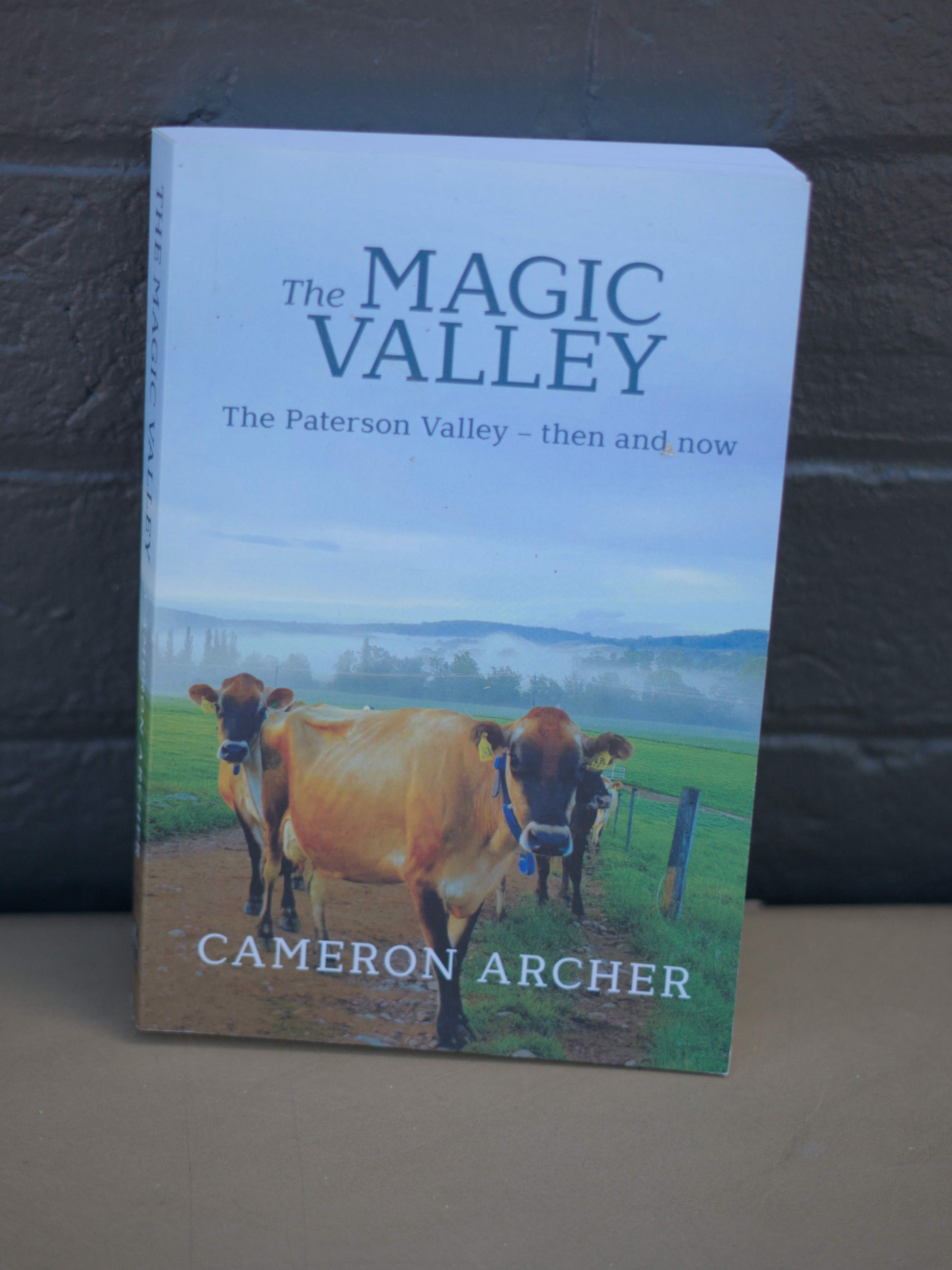 The Magic Valley Paterson Valley Then and Now by Cameron Archer-Books-Tilbrook and Co