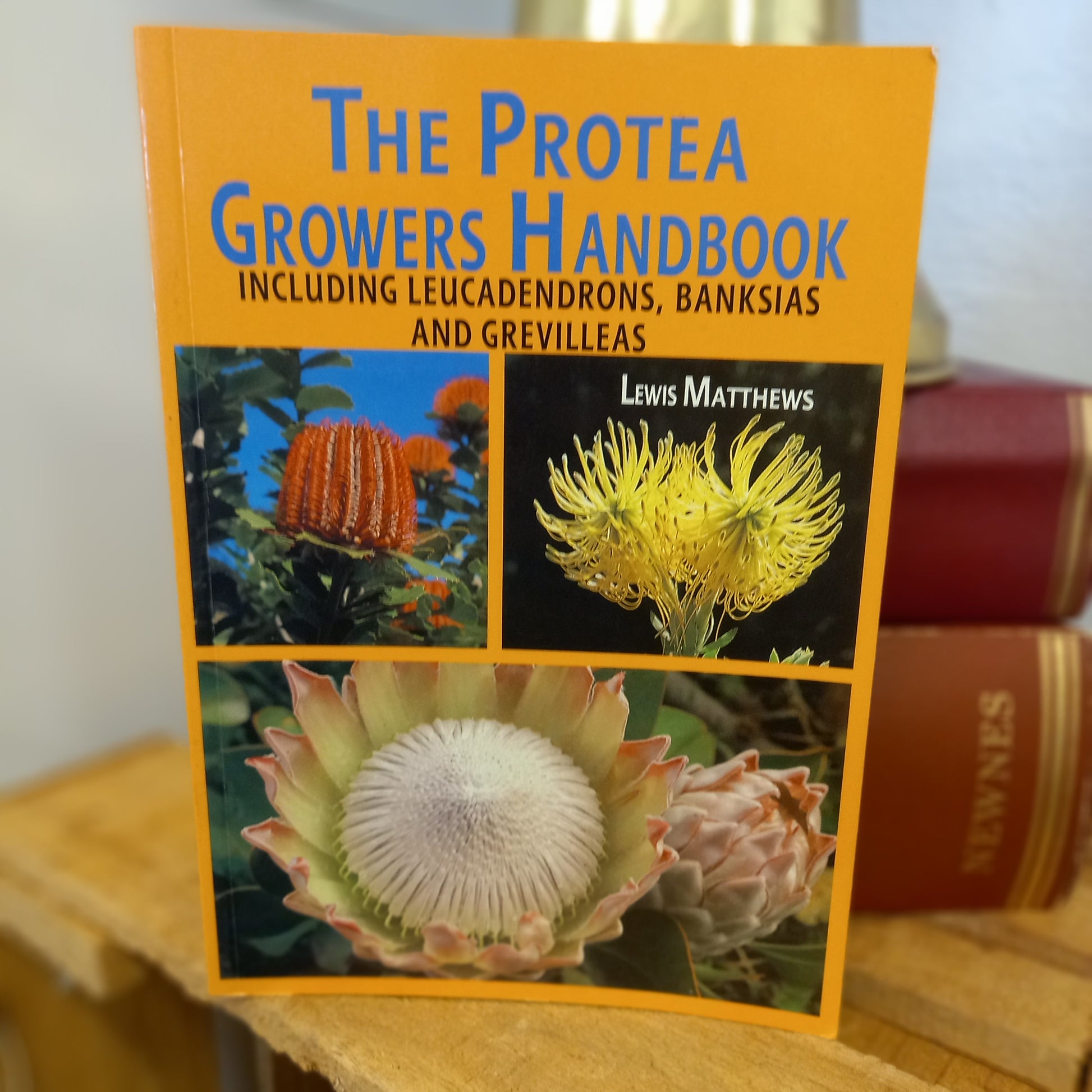The Protea Growers Handbook – Lewis Matthews (1993)-Gardening / Floriculture Guide-Tilbrook and Co