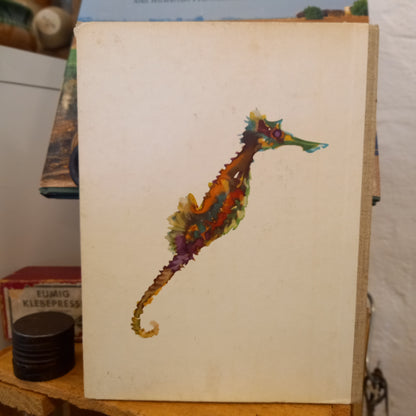 The Sea Horse by Frans van Anrooy – Illustrated by Jaap Tol (1968 First U.S. Edition)-Book - Vintage Illustrated Children's Book-Tilbrook and Co