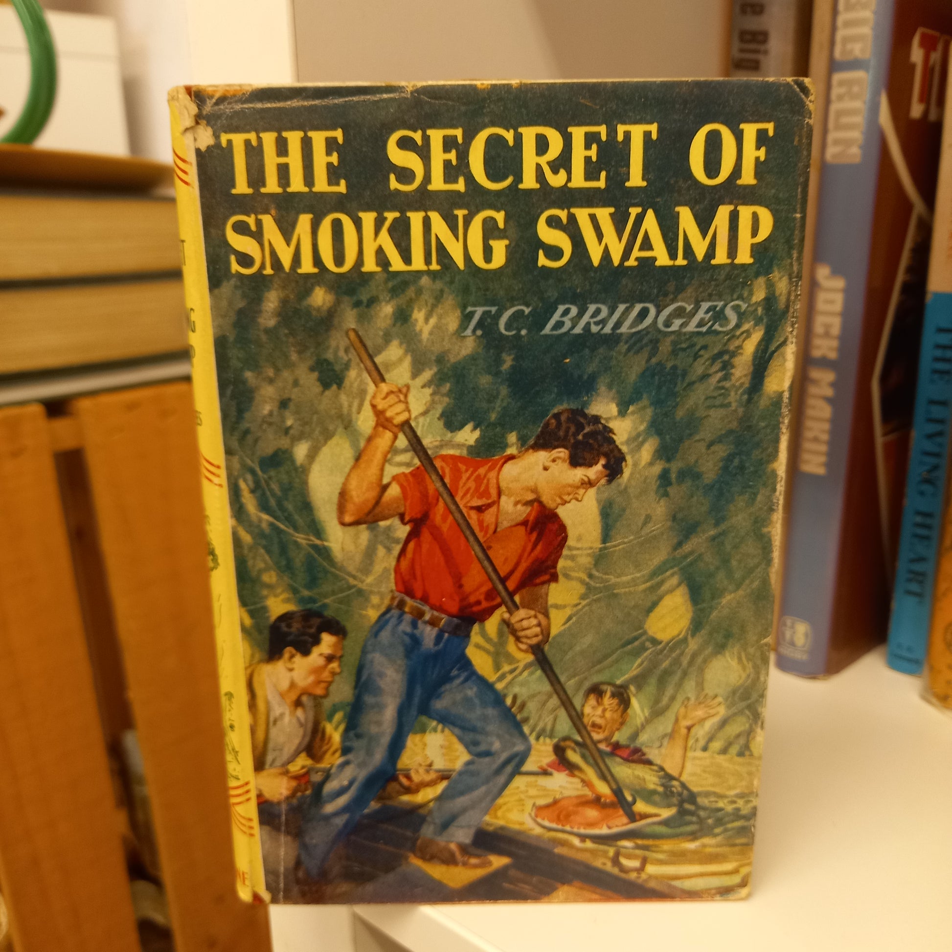 The Secret of Smoking Swamp by T C Bridges-Books-Tilbrook and Co