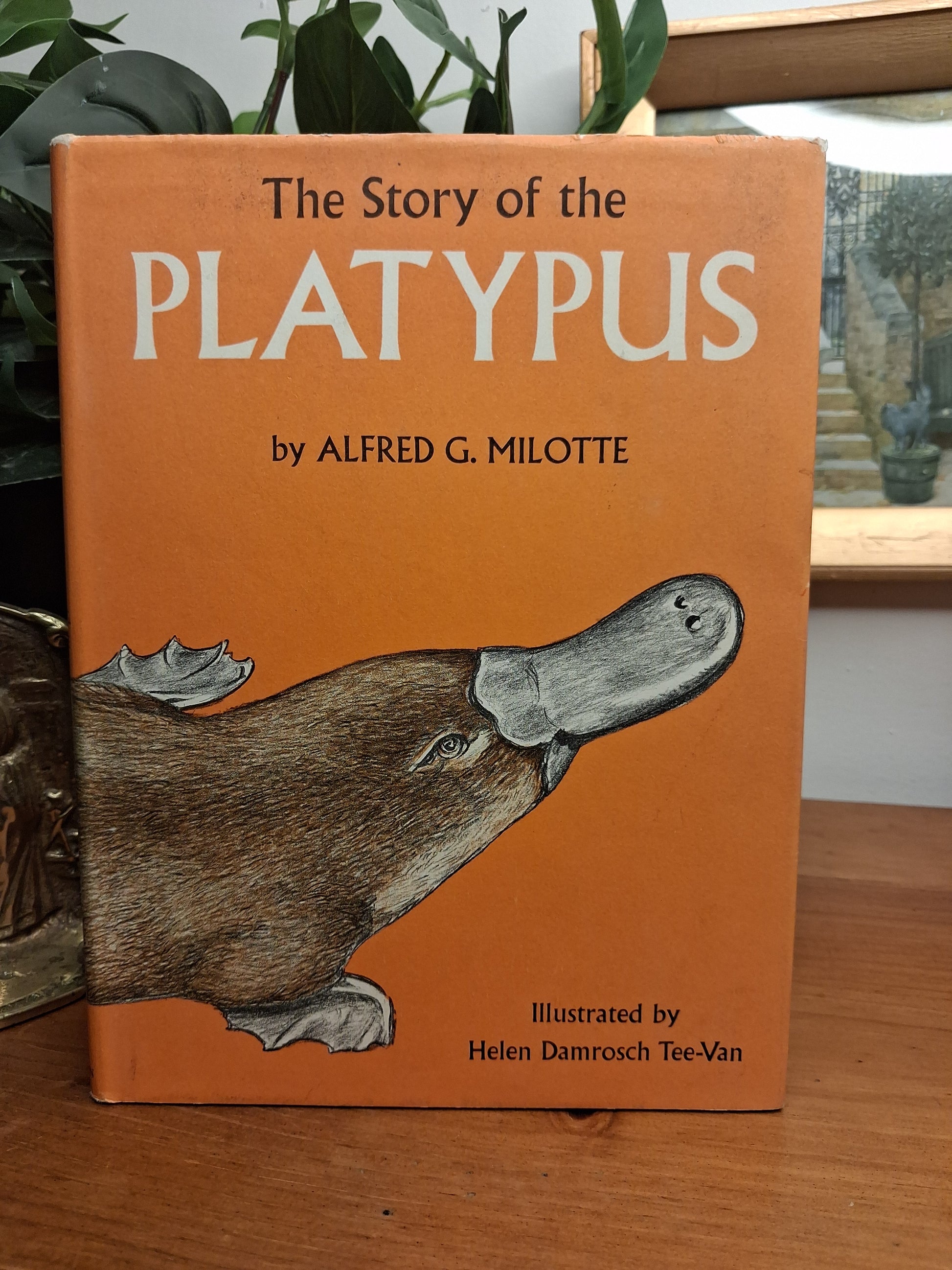 The Story of the Platypus by Alfred G. Milotte, illustrated by Helen Damrosh Tee-Van, vintage Angus and Robertson hardcover with dust jacket.