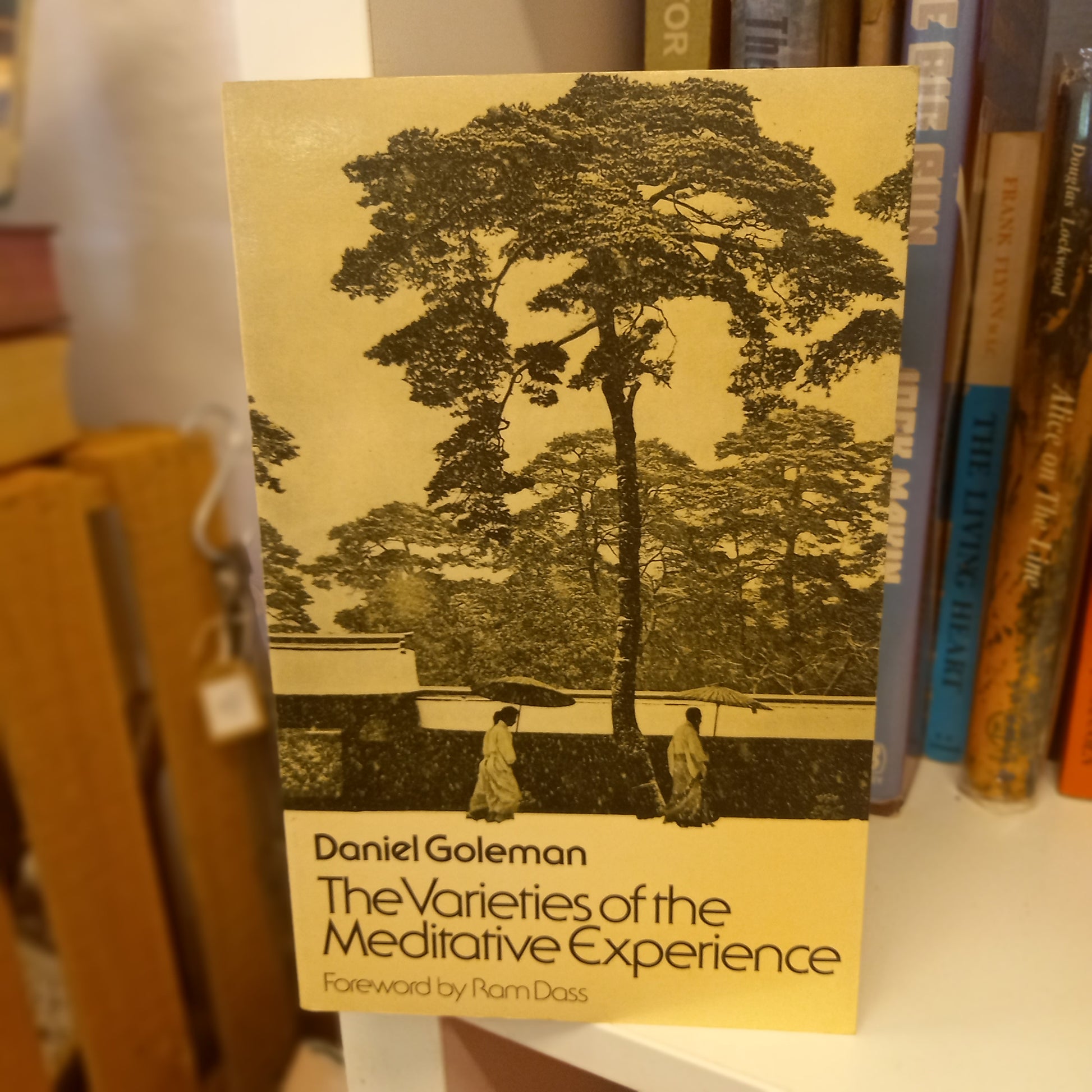 The Varieties of Meditative Experience by Daniel Goleman-Books-Tilbrook and Co