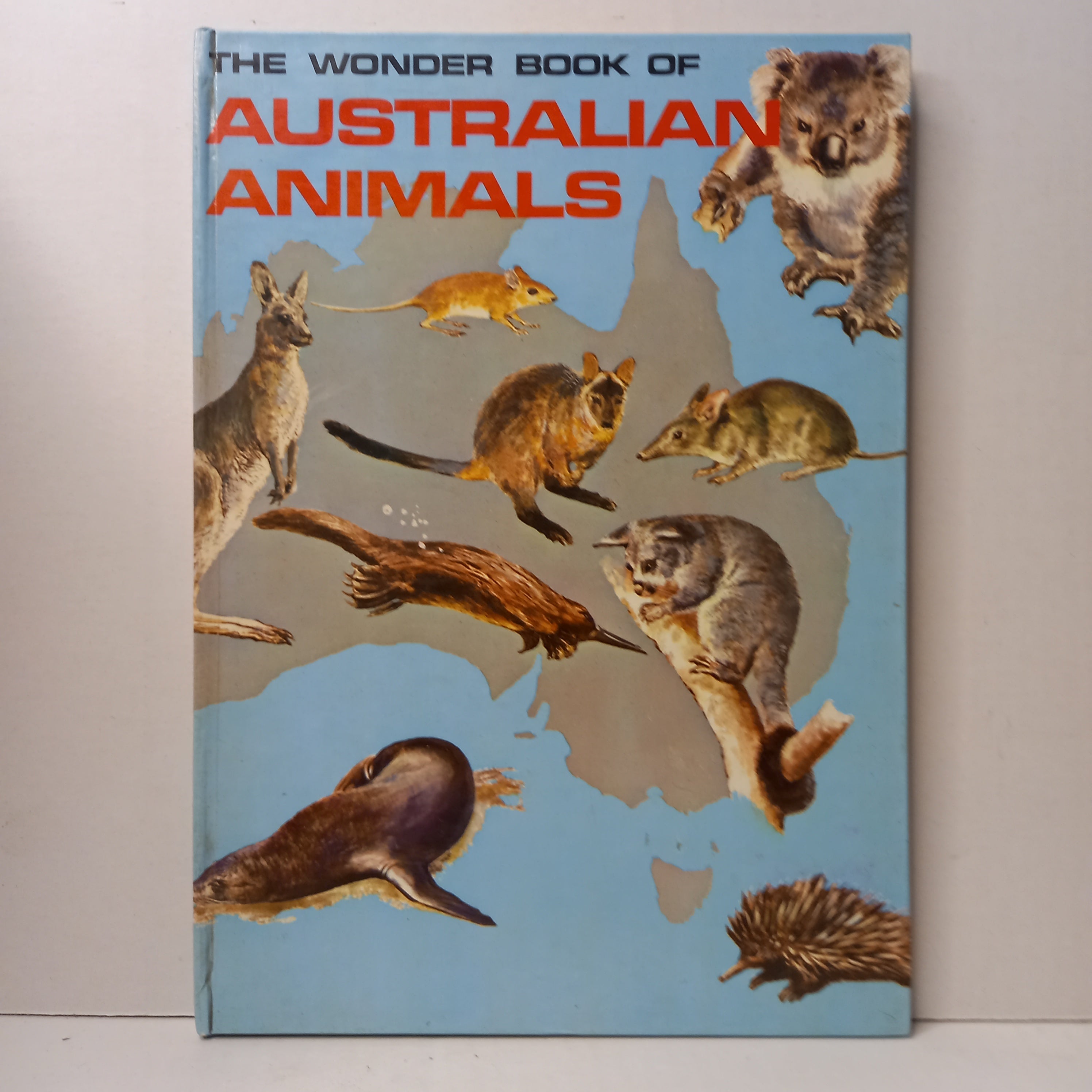 The Wonder Book of Australian Animals by A.W. Reed and Illustrated by ...