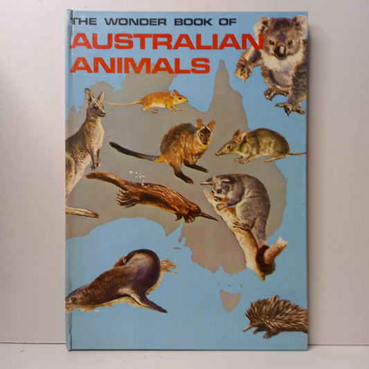 The Wonder Book of Australian Animals by A.W. Reed and Illustrated by Colin Archer-Book-Tilbrook and Co