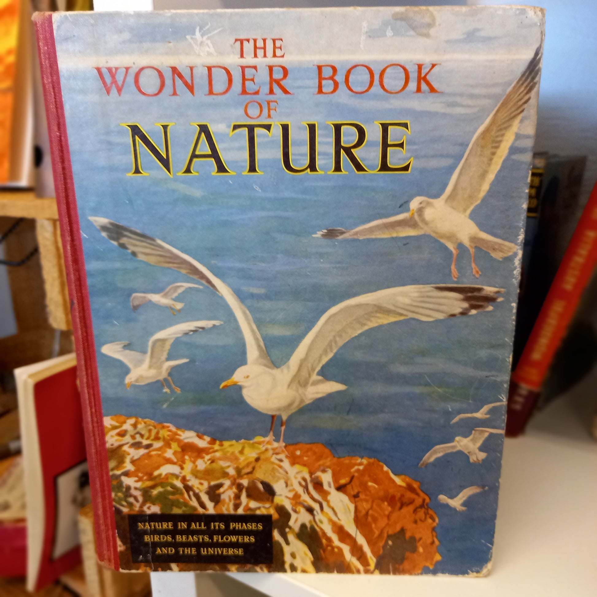 The Wonder Book of Nature for Boys and Girls-Book-Tilbrook and Co