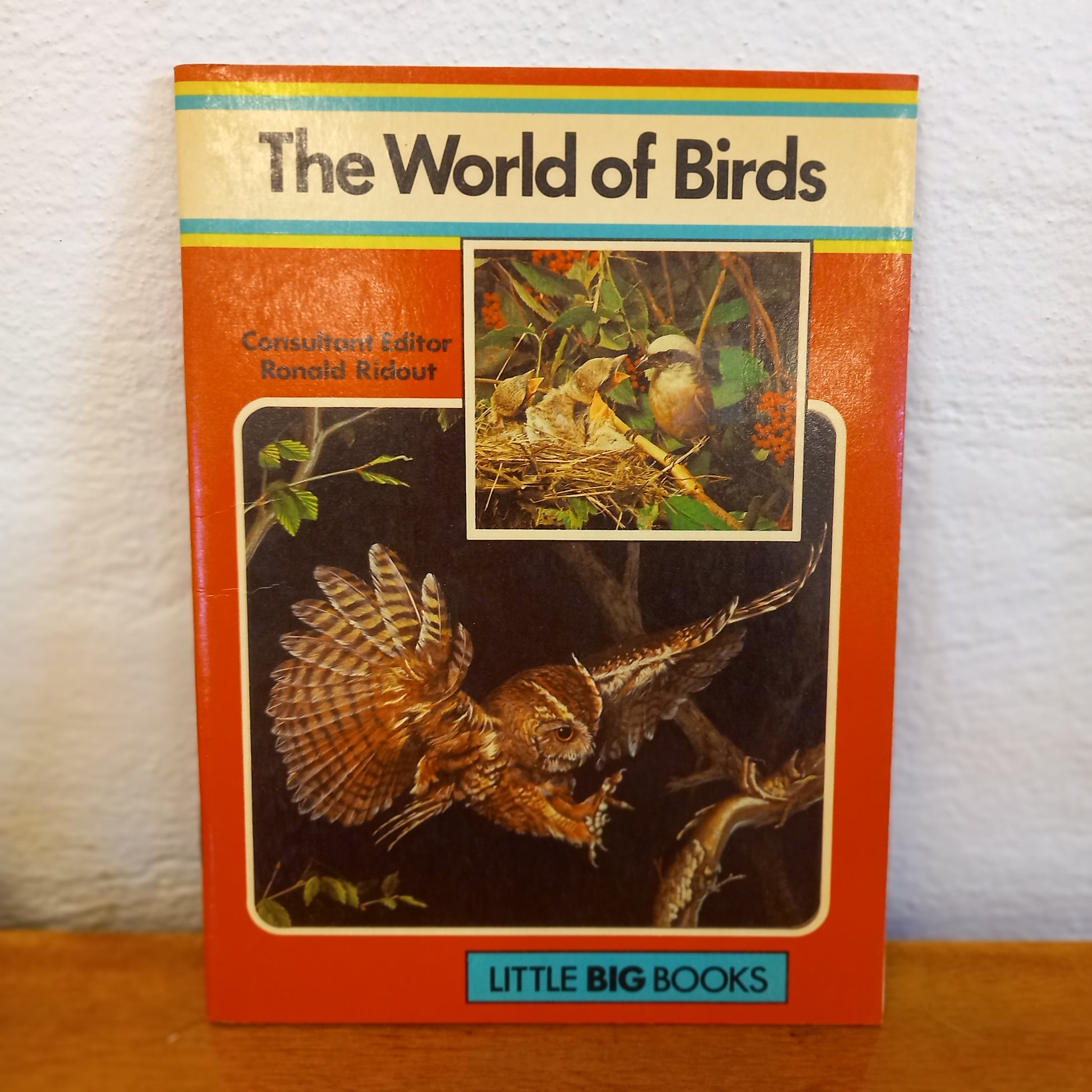 The World of Birds [Little Big Books] by Joe Firman-book-Tilbrook and Co