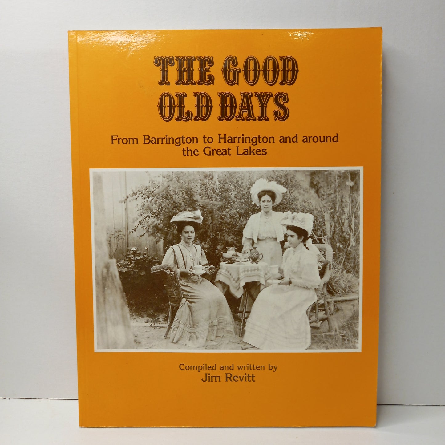 The good old days along the Manning River and Great Lakes by Jim Revitt-Book-Tilbrook and Co