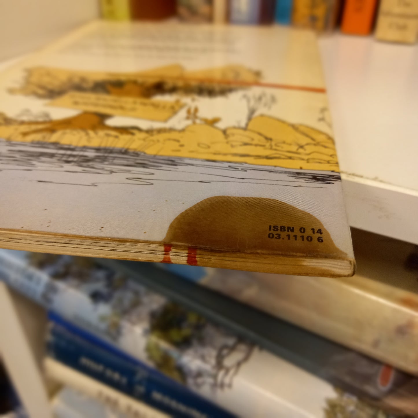 The super-roo of Mungalongaloo by Osmar White-Books-Tilbrook and Co