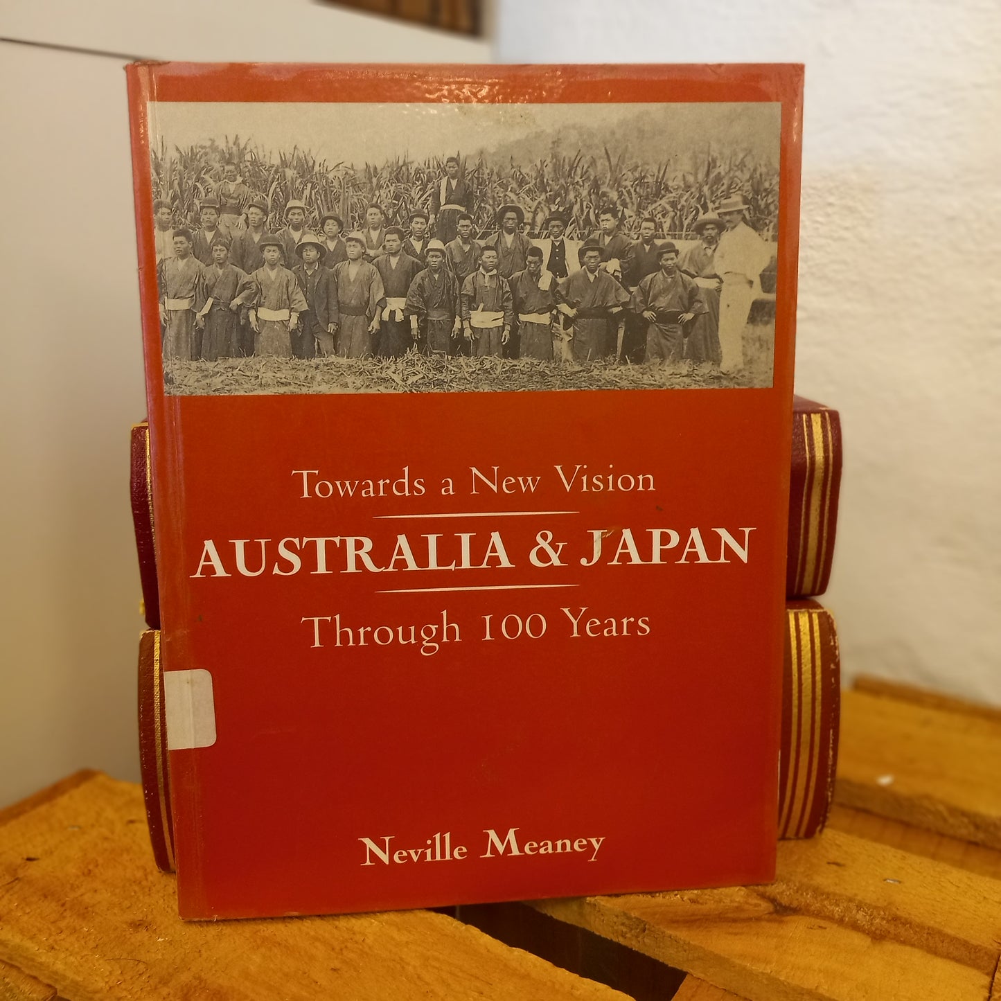Towards a New Vision: Australia and Japan Through 100 Years by Neville Meaney (1999, Paperback)-International Relations / Australian Diplomatic History-Tilbrook and Co