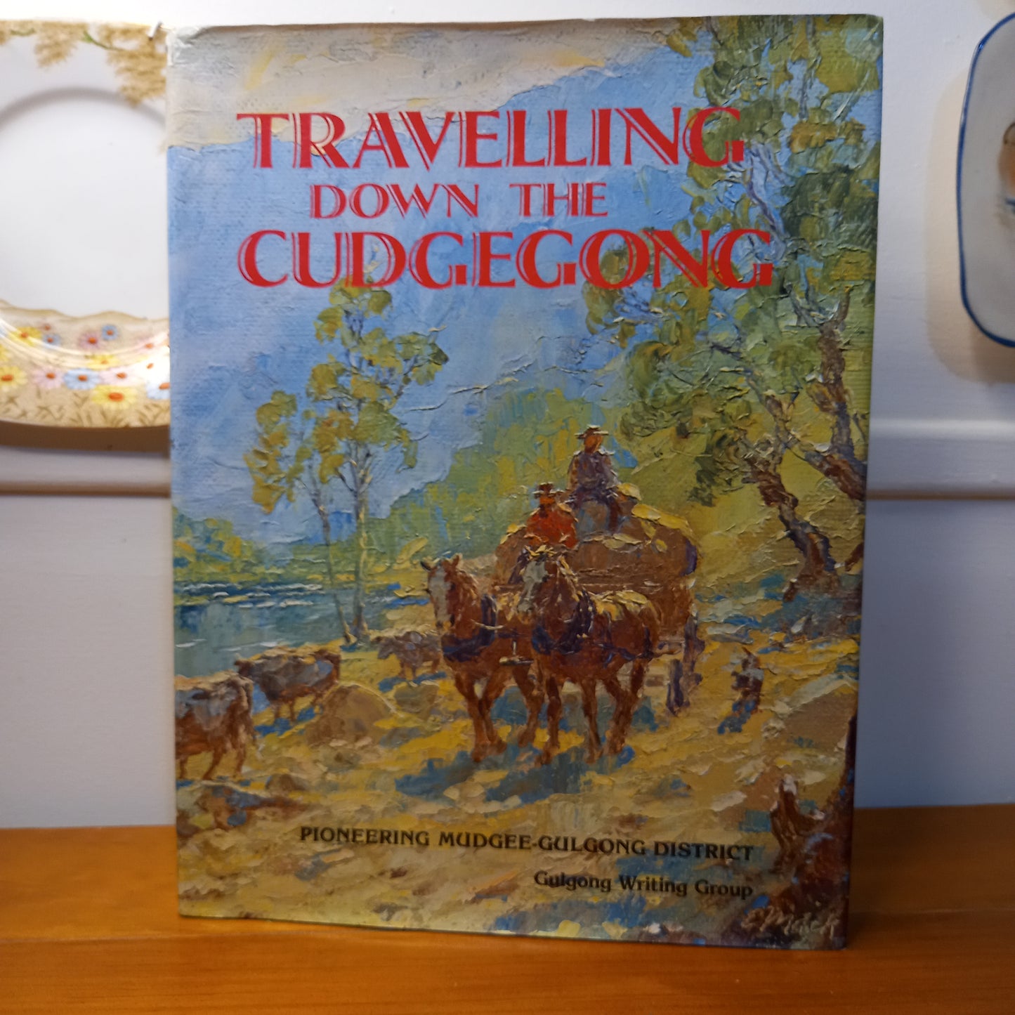 Travelling down the Cudgegong by Marion (edited By) Dormer-Book-Tilbrook and Co