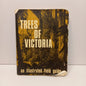 Trees of Victoria An Illustrated Field Guide by LF Costermans-Book-Tilbrook and Co