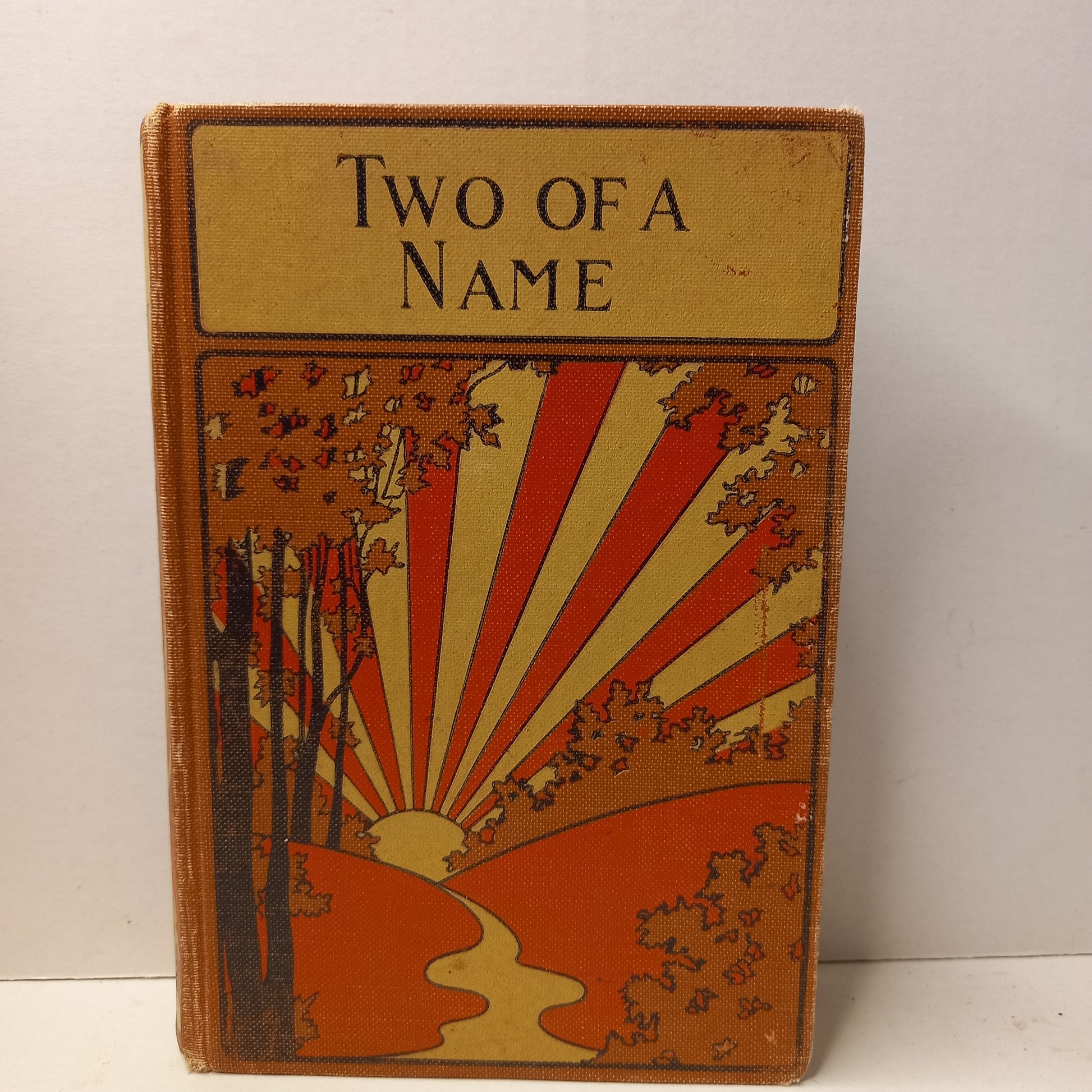 Two of a Name: a Brigand Adventure Tale by Brenda Girvin-Book-Tilbrook and Co