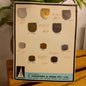 Vintage AROS Late 1960s Travelling Salesman's Buckle Sample Card Q3615 of 10 belt pins-Clothing Accessories-Tilbrook and Co