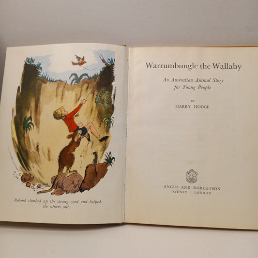 Warrumbungle the Wallaby An Australian Aninmal Story for Young People by Harry Hodge-Book-Tilbrook and Co