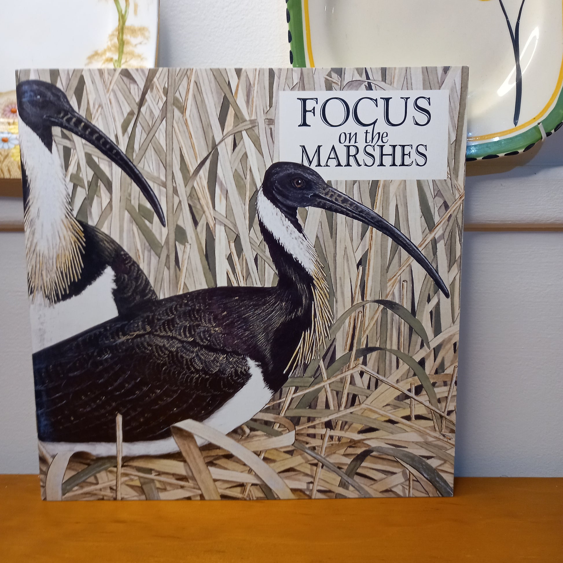 Wendy Jennings: Focus on the Marshes art exhibition catalogue-Catalogue-Tilbrook and Co