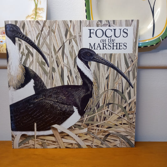 Wendy Jennings: Focus on the Marshes art exhibition catalogue-Catalogue-Tilbrook and Co