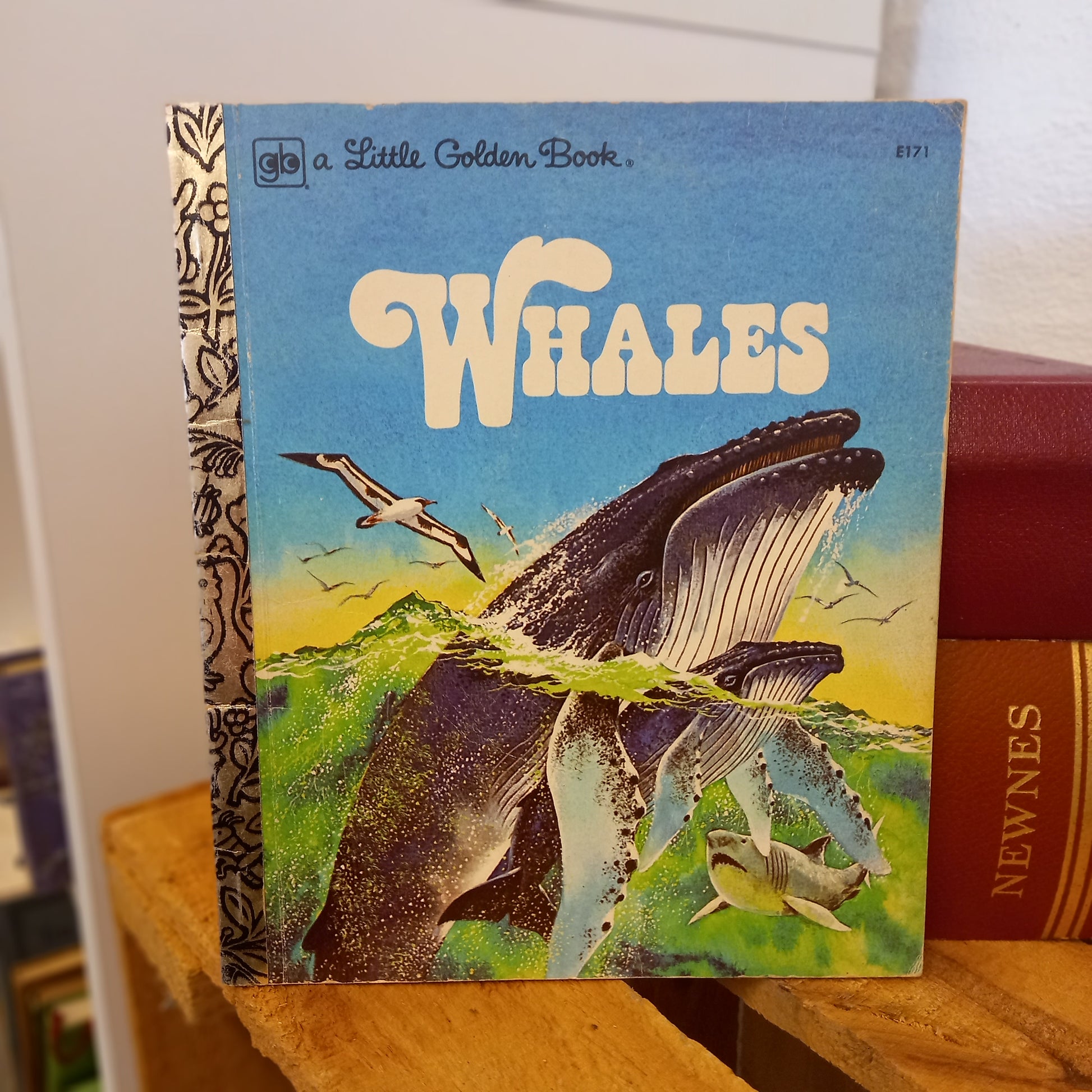 Whales – Little Golden Book E171 (1978) Jane Werner Watson-Children's nonfiction / Marine animals / Vintage Little Golden Book-Tilbrook and Co