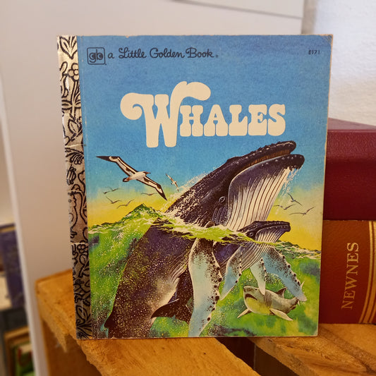 Whales – Little Golden Book E171 (1978) Jane Werner Watson-Children's nonfiction / Marine animals / Vintage Little Golden Book-Tilbrook and Co