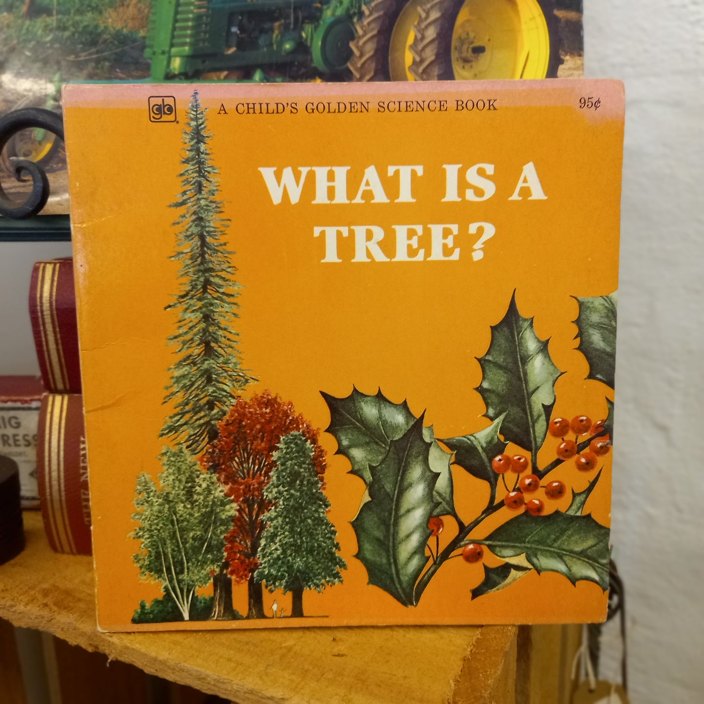 What Is a Tree? (A Child's Golden Science Book) by Jenifer W. Day (1975)-Book - Vintage Children's Science Book-Tilbrook and Co