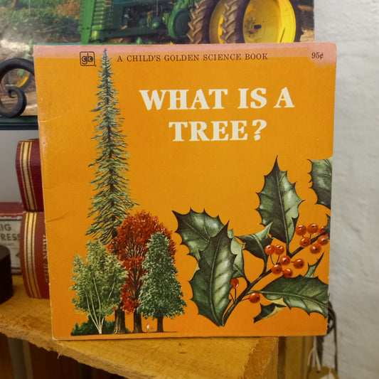 What Is a Tree? (A Child's Golden Science Book) by Jenifer W. Day (1975)-Book - Vintage Children's Science Book-Tilbrook and Co
