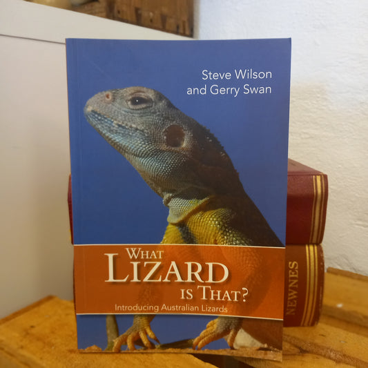 What Lizard is That? : Introducing Australian Lizards-Book - Australian Field Guide / Reptile Identification-Tilbrook and Co