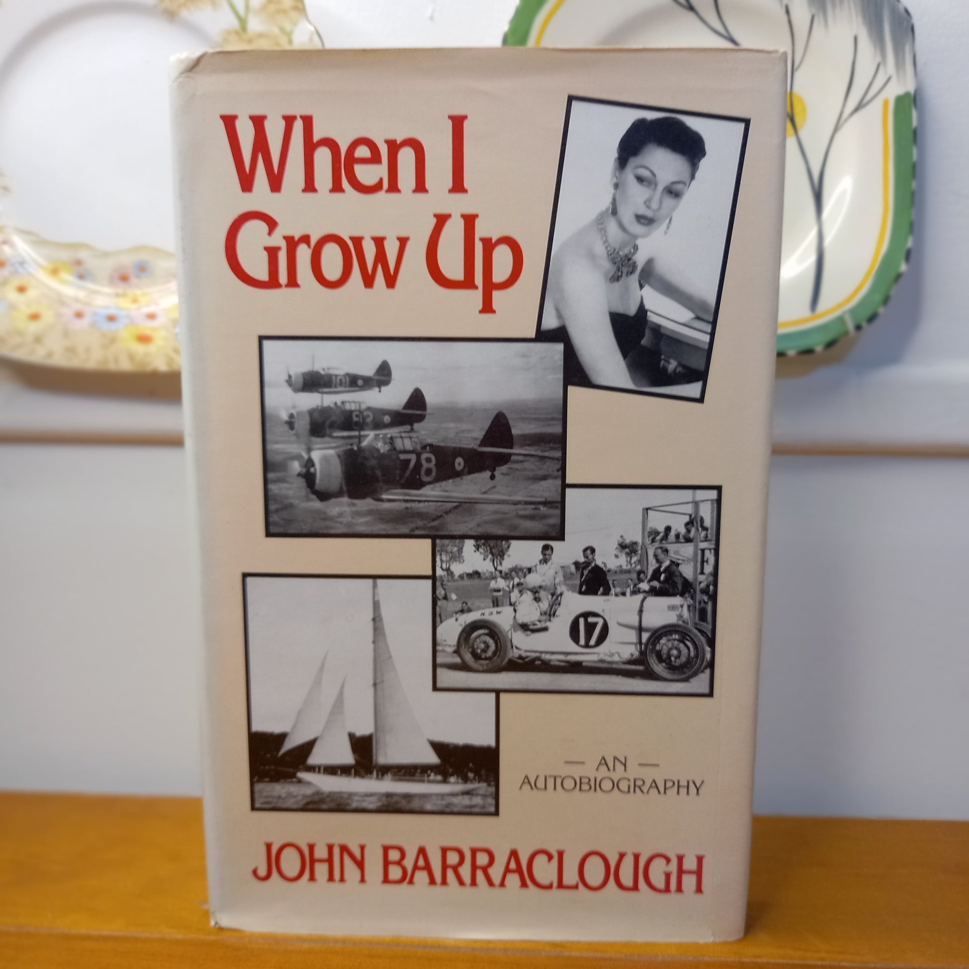 When I grow up by John Barraclough-Book-Tilbrook and Co